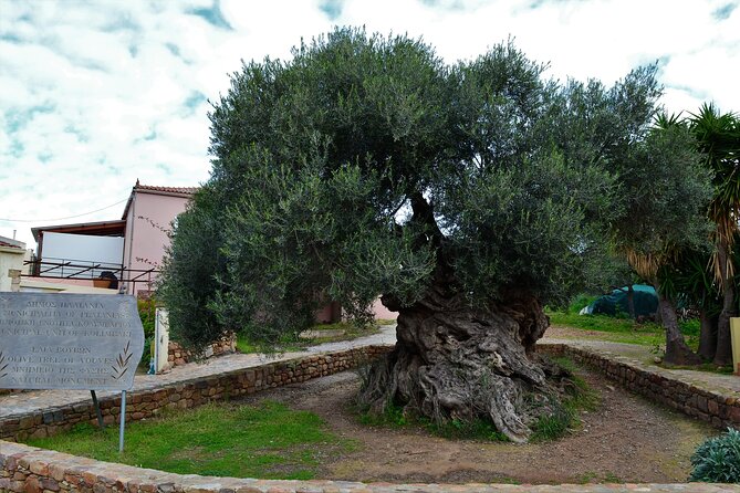 Monastery - Ancient Olive tree & Museum-Cretan Brewery Private Tour from Chania - Key points at a glance