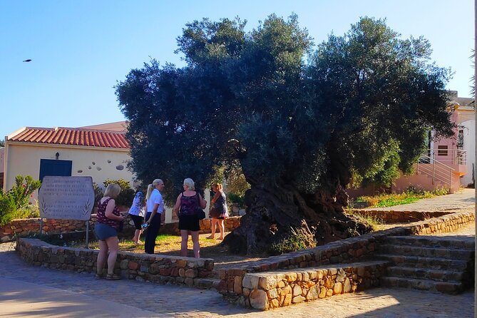 Monastery - Ancient Olive tree & Museum-Cretan Brewery Private Tour from Chania - Who should book this half-day outing