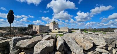 Monopoli: Ancient Olive Groves & Coastal E-Bike Ride