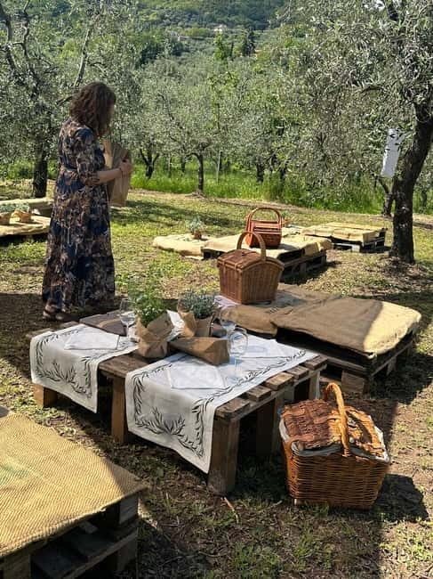 Montecatini Alto: Gourmet picnic among the olive trees with EVO oil pairing - Key points to know before booking