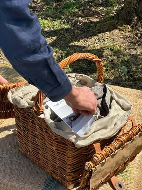 Montecatini Alto: Gourmet picnic among the olive trees with EVO oil pairing - How the EVO oil tasting works