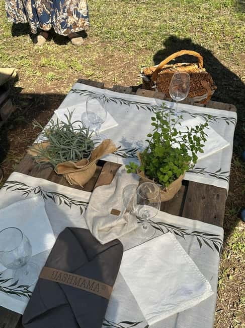 Montecatini Alto: Gourmet picnic among the olive trees with EVO oil pairing - The cellar visit and optional elements