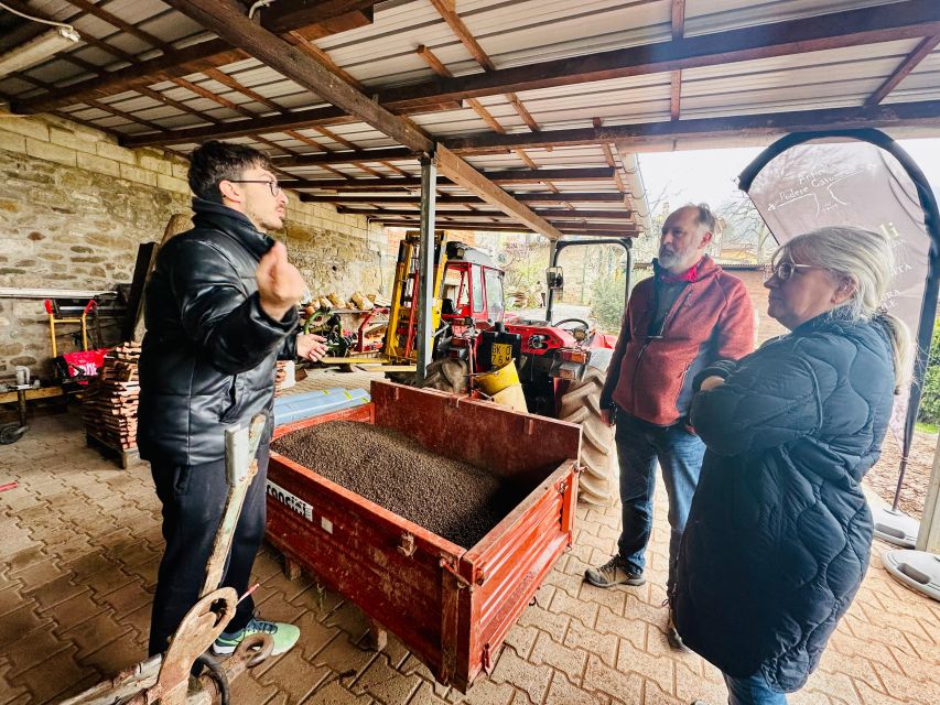 Montecatini Terme: Olive Grove Tour with Oil Tasting - Booking advice and final verdict