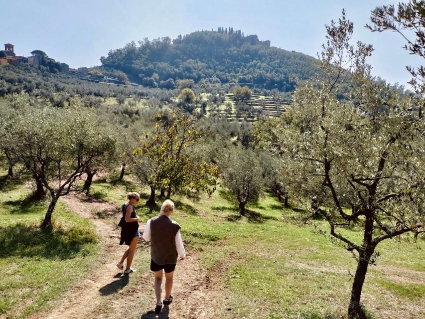 Montecatini Terme: Olive Grove Tour with Oil Tasting - Seeing the equipment and cellar