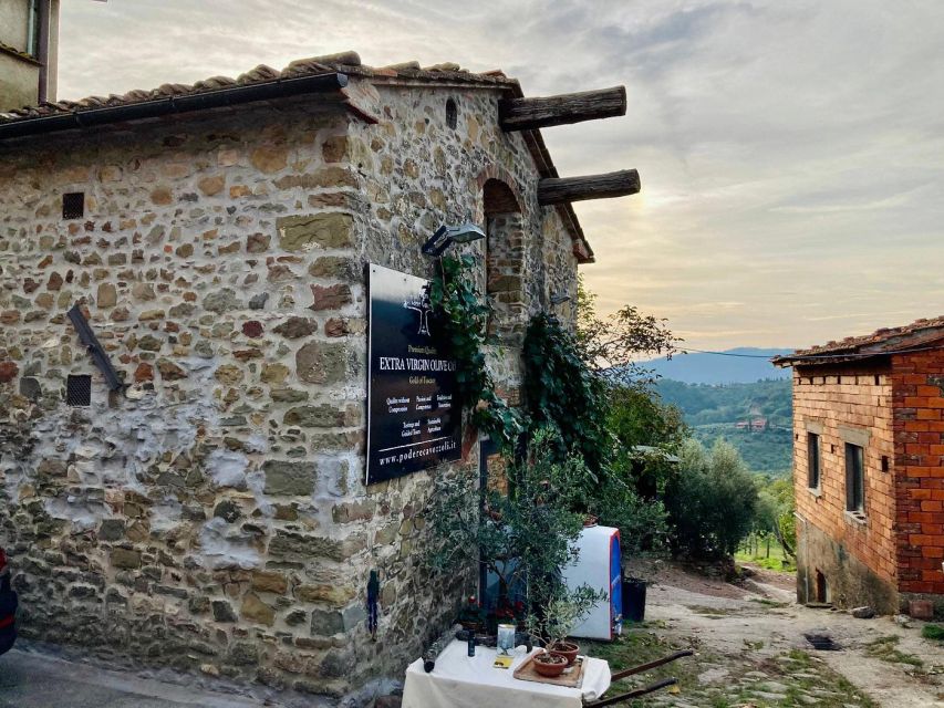 Montecatini Terme: Olive Grove Tour with Oil Tasting - Learning how to taste extra virgin olive oil