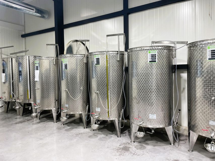 Montpellier : Visit lavender field and an Olive Oil Mill - Lavender fields in Hérault, best seen in June or July