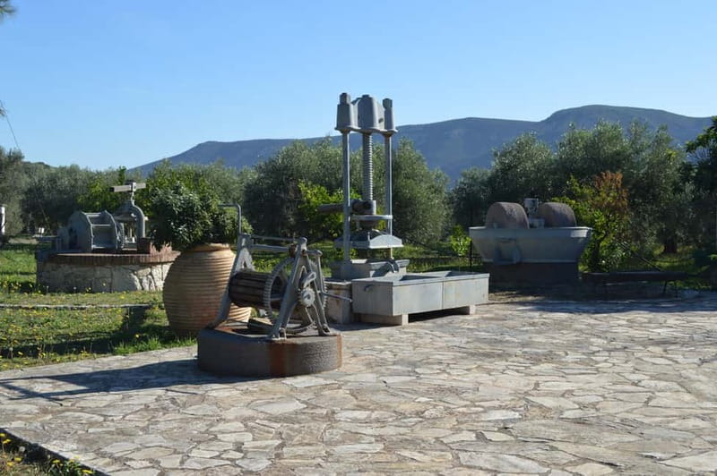Nafplio: Olive Oil Estate Tour and Tasting - Key points to know before you book