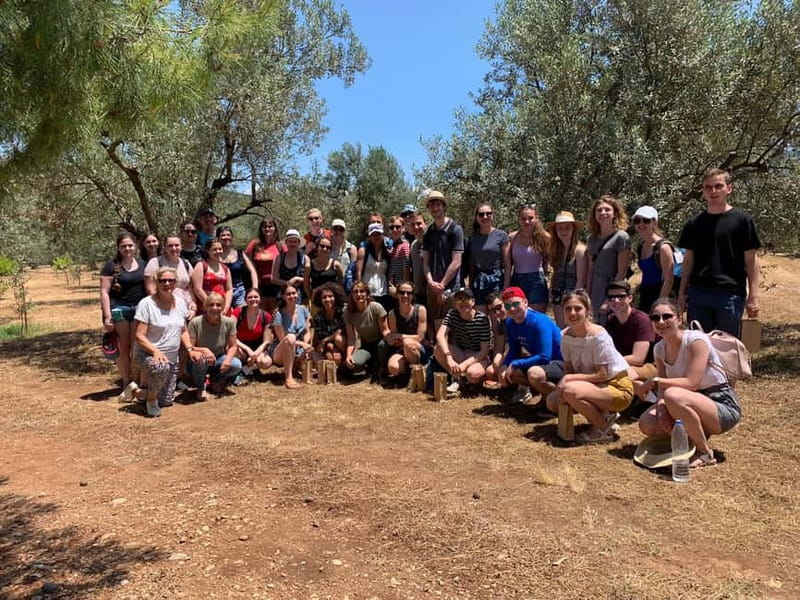 Nafplio: Olive Oil Estate Tour and Tasting - Planning the visit around Nafplio and Mycenae