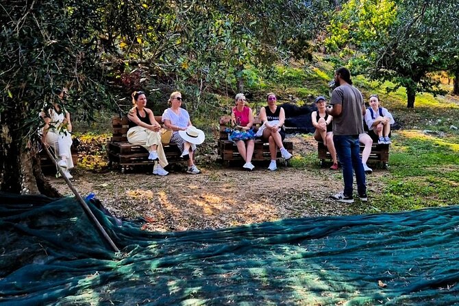 North Corfu Olive Tour With Olive oil Tasting & Meze - An hour among Corfu’s old olive trees
