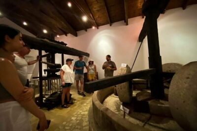 North Corfu Olive Tour With Olive oil Tasting & Meze