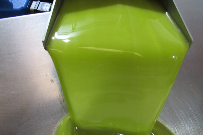 Oil tourism in Pulpí Discover the World of EVOO - The tasting room explains the route from olive to oil