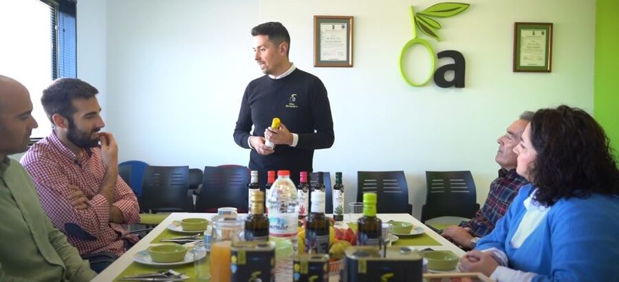 OleoAlmanzora: Guided tour + EVOO Breakfast/Afternoon tea - Timing, comfort, and access