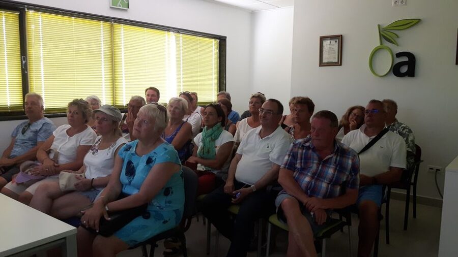 OleoAlmanzora: Guided tour + Masterclass of EVOO tasting Eng - Walking among the olive trees in Pulpí