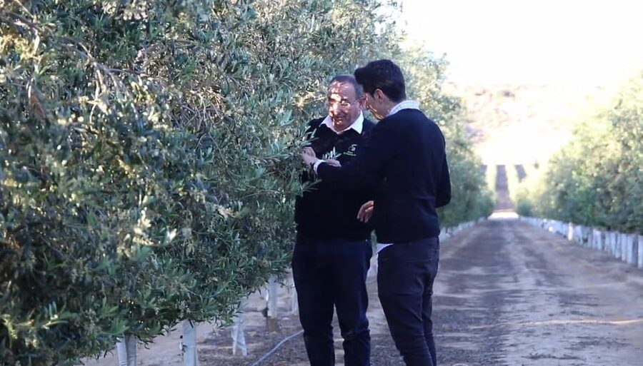 OleoAlmanzora: Guided tour + Masterclass of EVOO tasting Eng - Finishing at the Sabores Almeria gourmet store