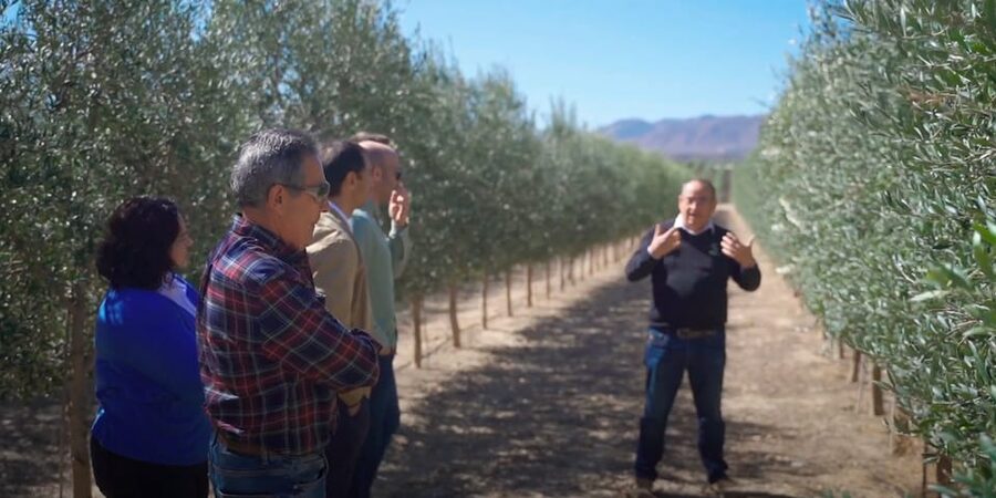 OleoAlmanzora: Guided tour olive groves and EVOO facilities - Inside the Cellar and Production Areas