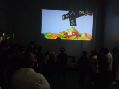 OleoAlmanzora: Guided tour olive groves and EVOO facilities
