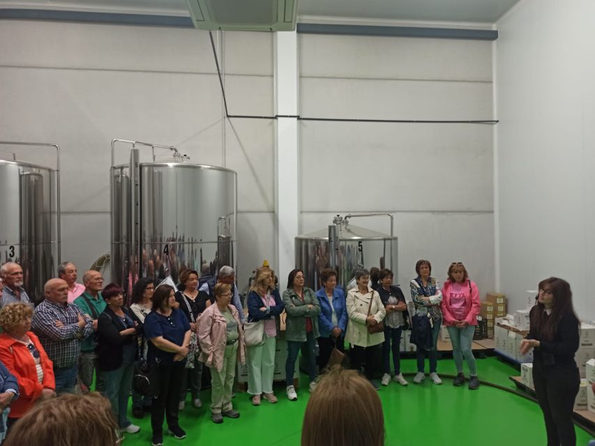 OleoAlmanzora: Guided tour olive groves and EVOO facilities - Shopping for Oil and Almería Products