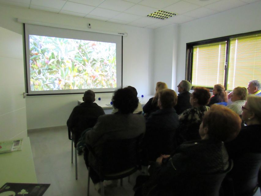 OleoAlmanzora: Guided tour olive groves and EVOO facilities - What the $18 Price Really Buys You