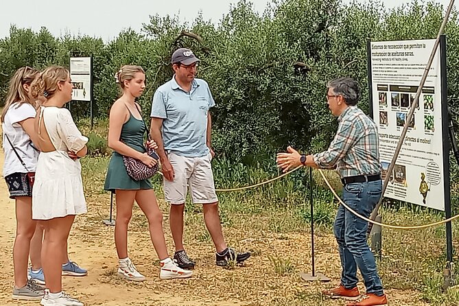 Oleotourism and olive oil tasting in Seville - Private tour - Why Hacienda Guzmán makes this more than a tasting