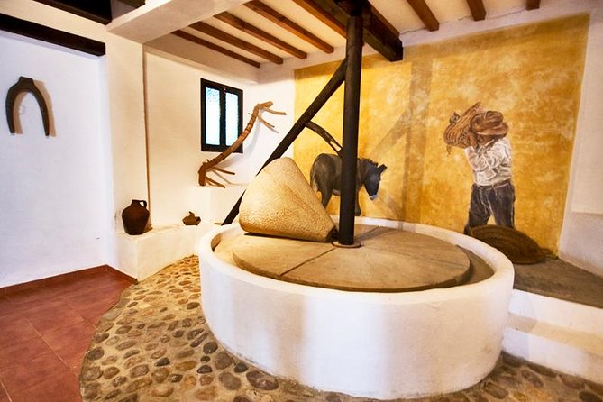 Oleotourism and olive oil tasting in Seville - Private tour - Four olive oils and how to taste them