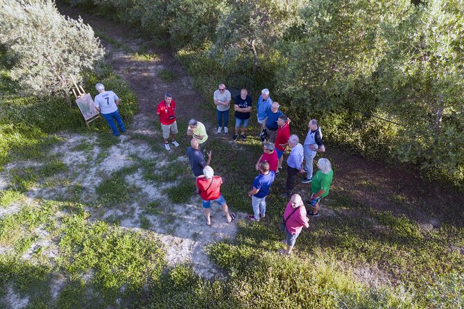 Olive experience Walk among the olive trees with tasting - Three stops that explain the process