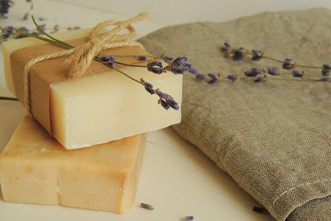 Olive harvest, visit to the oil mill and typical lunch - Key points to know before booking