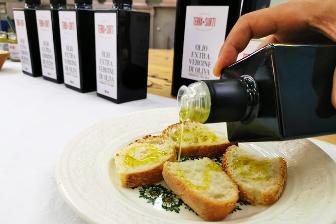 Olive harvest, visit to the oil mill and typical lunch - Weather, season, and what to wear
