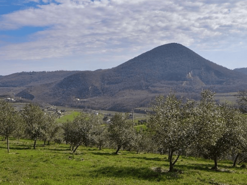 Olive Mill Tour and Tasting in the Padua Hills - What to know about the experience