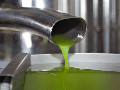 Olive Mill Tour and Tasting in the Verona Countryside