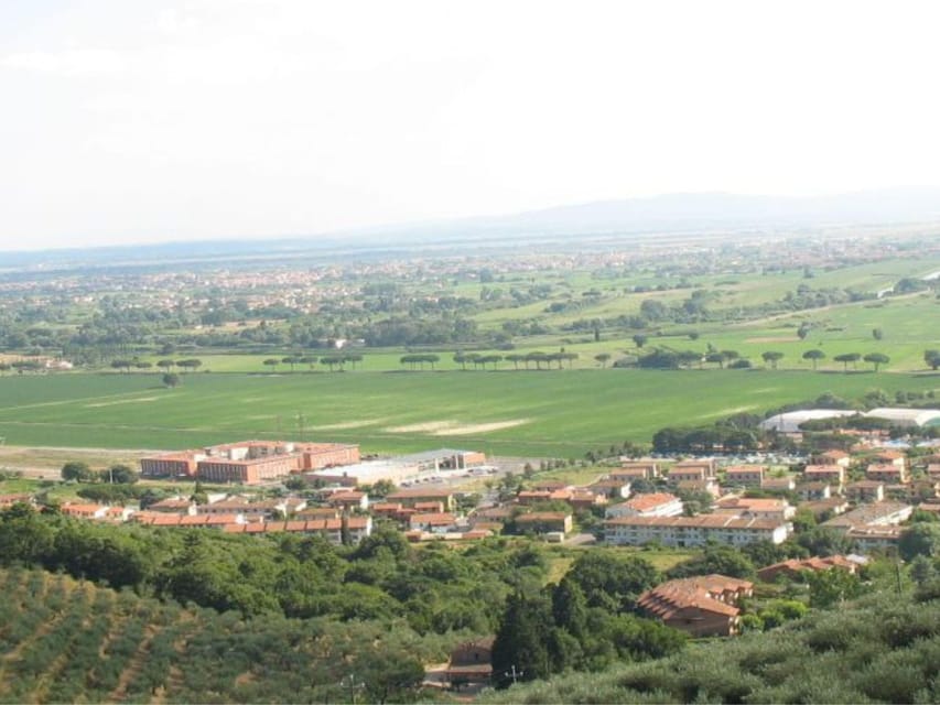 Olive Mill Tour with Oil and Food Tastings near Pisa - Why this olive mill near Pisa is worth your time