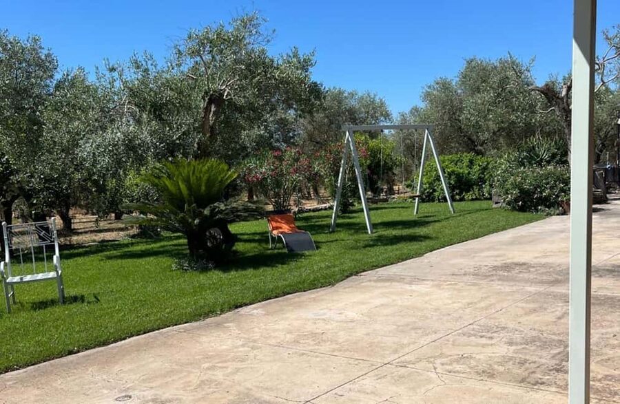 Olive Mill Tour with Olive Oil Tasting in Sassari - How much value do you get for $48?