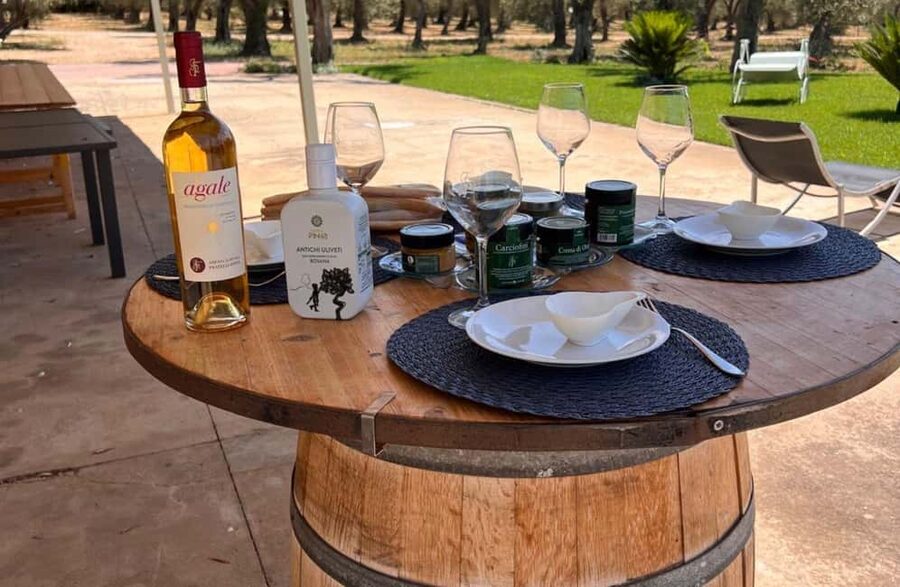 Olive Mill Tour with Olive Oil Tasting in Sassari - Planning around weather and harvest season