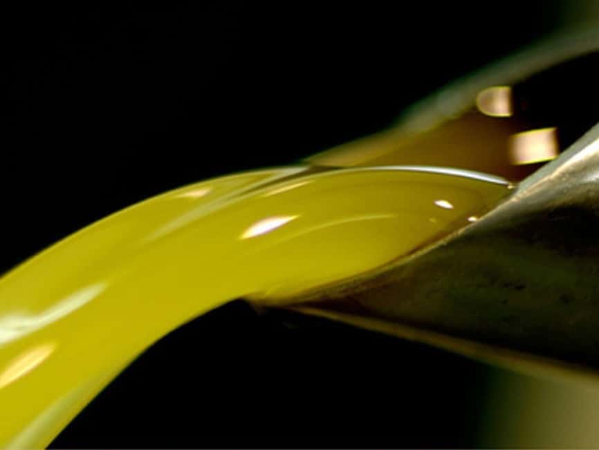 Olive Mill Visit & Guided Tasting in Taggia - Why Taggia is a good place to learn about olive oil