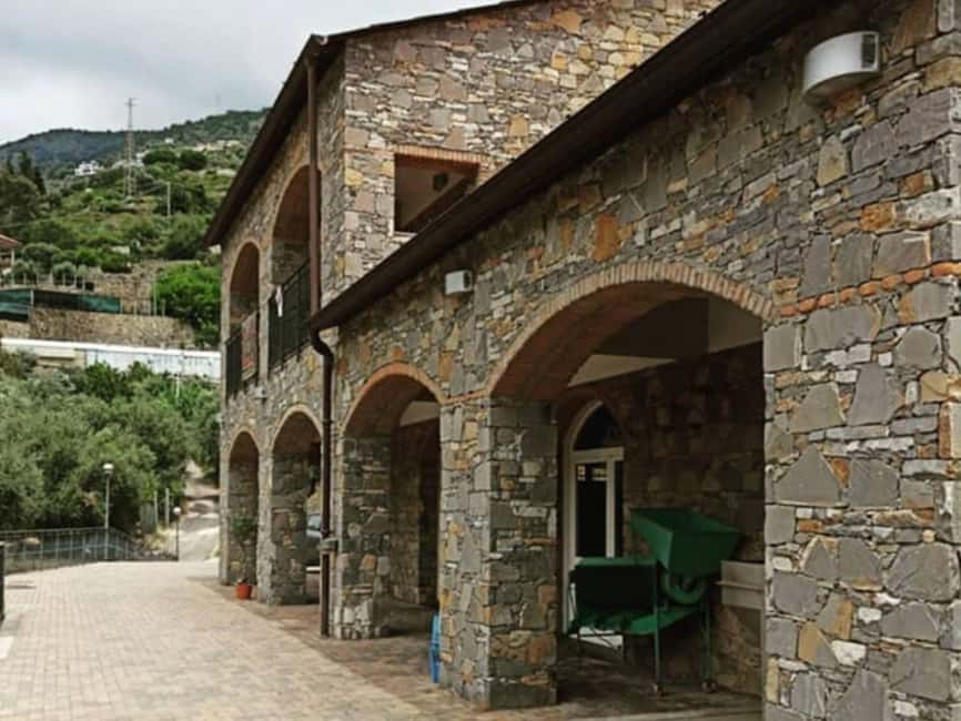 Olive Mill Visit & Guided Tasting in Taggia - Learning how olives become extra virgin oil