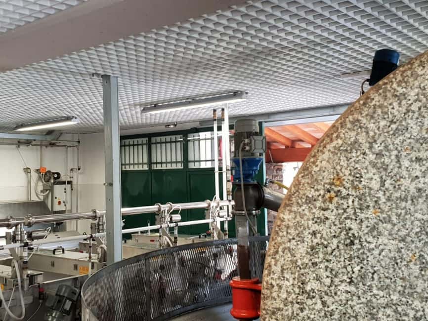 Olive Mill Visit & Guided Tasting in Taggia - The 25-minute tasting, DOP and non-DOP oils