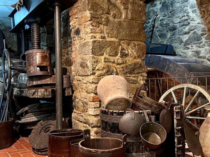 Olive Mill Visit & Guided Tasting in Taggia - How much value do you get for $27?