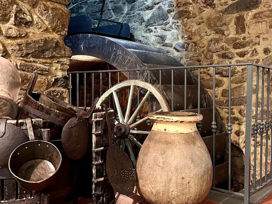Olive Mill Visit & Guided Tasting in Taggia - Who will enjoy this Taggia experience