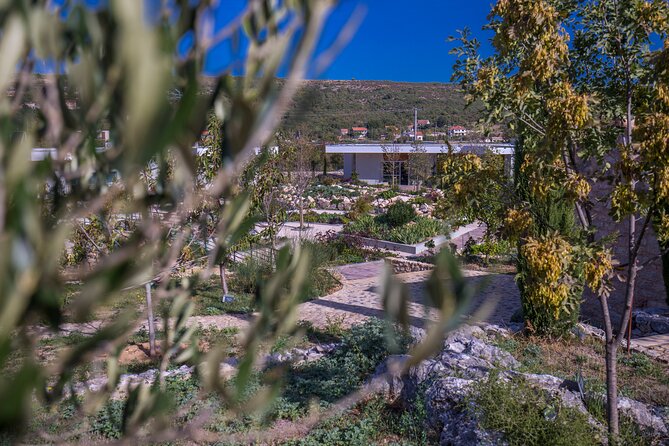 Olive museum Klis with educational olive oil tasting - The optional tavern lunch after the tour