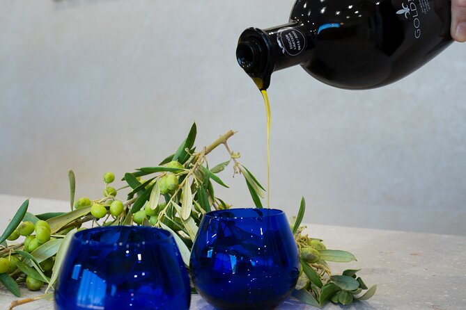 Olive Oil and Winery Tour from Zaragoza City - Key points to know before booking