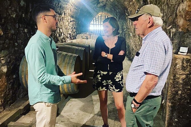 Olive Oil and Winery Tour from Zaragoza City - Is $177.52 a fair price?