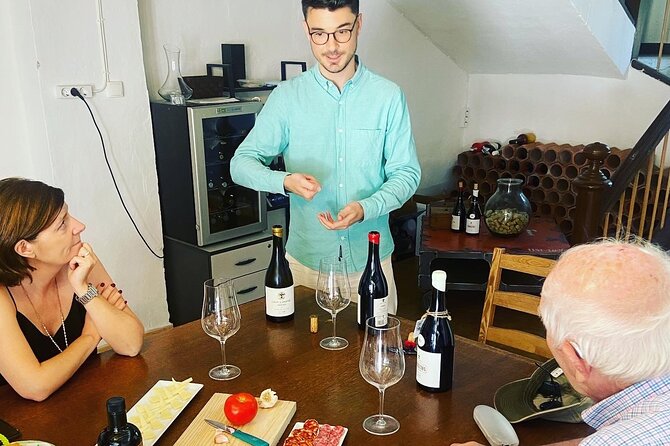 Olive Oil and Winery Tour from Zaragoza City - Who will enjoy this half-day outing?