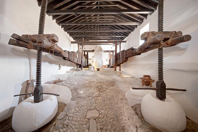 Olive Oil Excursion to an olive mill in the Lecrín Valley - Why an old olive mill makes a worthwhile Granada outing