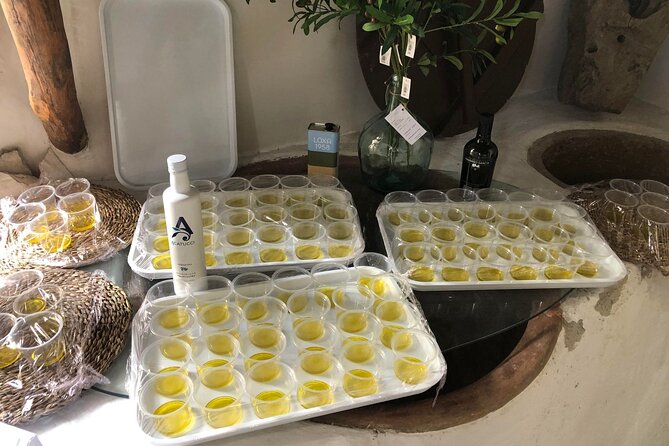 Olive Oil Excursion to an olive mill in the Lecrín Valley - Practical details that affect your morning