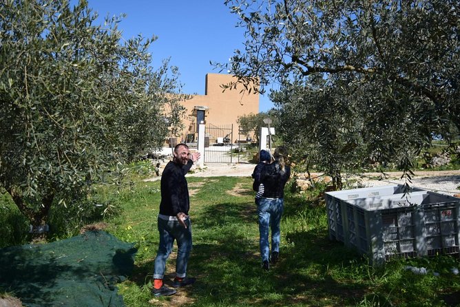 Olive Oil Experience - Learning to judge extra virgin olive oil