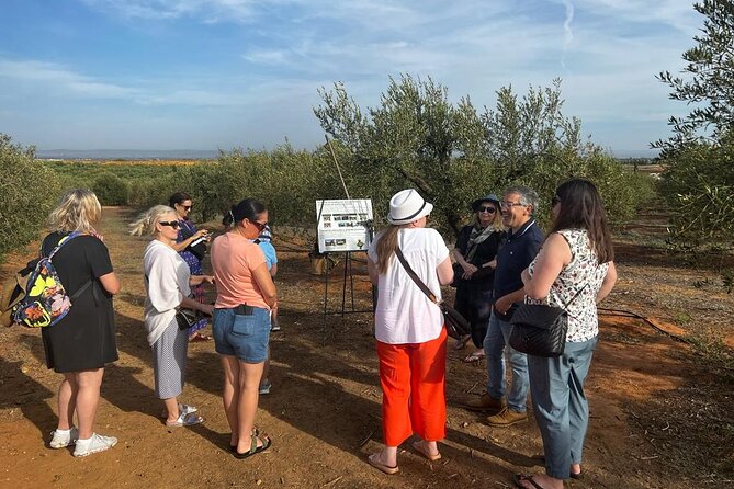 Olive Oil Factory from Seville Private Tour - Key points at a glance