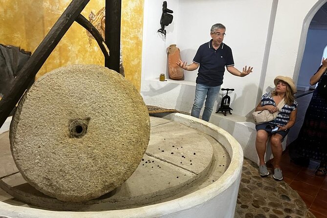 Olive Oil Factory from Seville Private Tour - Why Basilippo makes a good Seville side trip