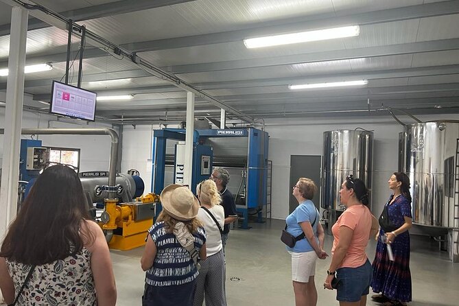 Olive Oil Factory from Seville Private Tour - At Basilippo, the olive tree comes first