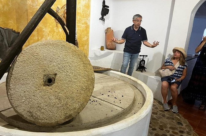 Olive Oil Factory from Seville Private Tour - The tasting is more than a souvenir stop