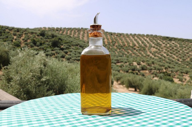 Olive Oil Factory from Seville Private Tour - What the private format changes