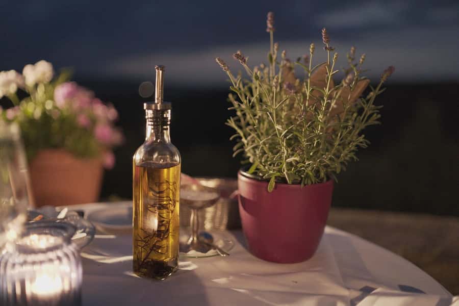 Olive Oil Factory + Wineries + Full Asado Lunch (Full Day) - Centenario Olivícola: learning what is in your glass